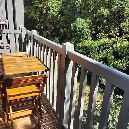 T3 De Standing Entre Et A Hossegor, Lumineux Avec Balcon, Parking Et Wifi Inclus - Fr-1-239-1006 סורטס הוסגור